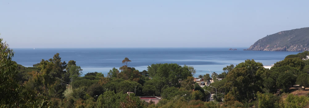 panorama1